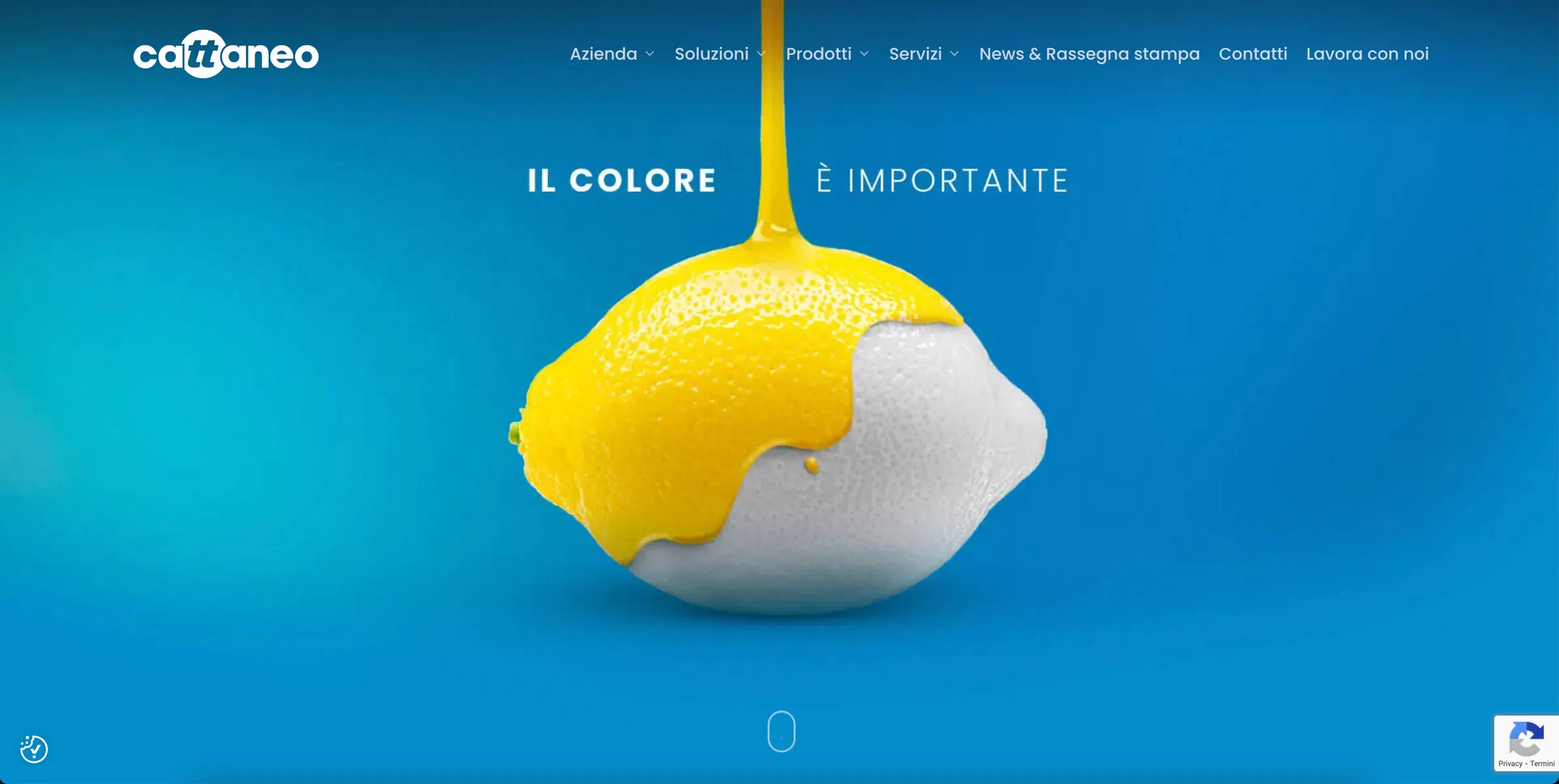 Cattaneo Colori Website